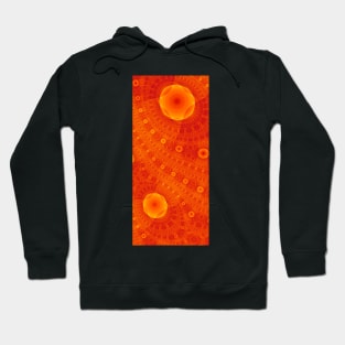 Amber Waves 16 Hoodie